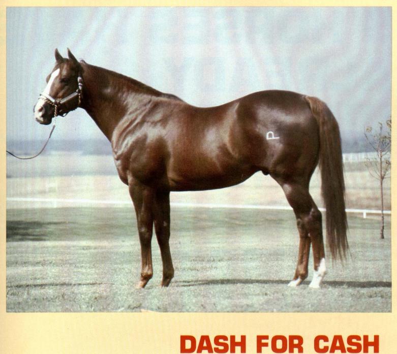 Dash for Cash